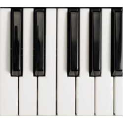 Lekcja gry na fortepianie 60 min indywidualnie poza kursem rocznym.