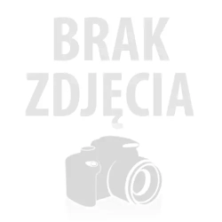 Lekcja gry na fortepianie  stacjonarnie